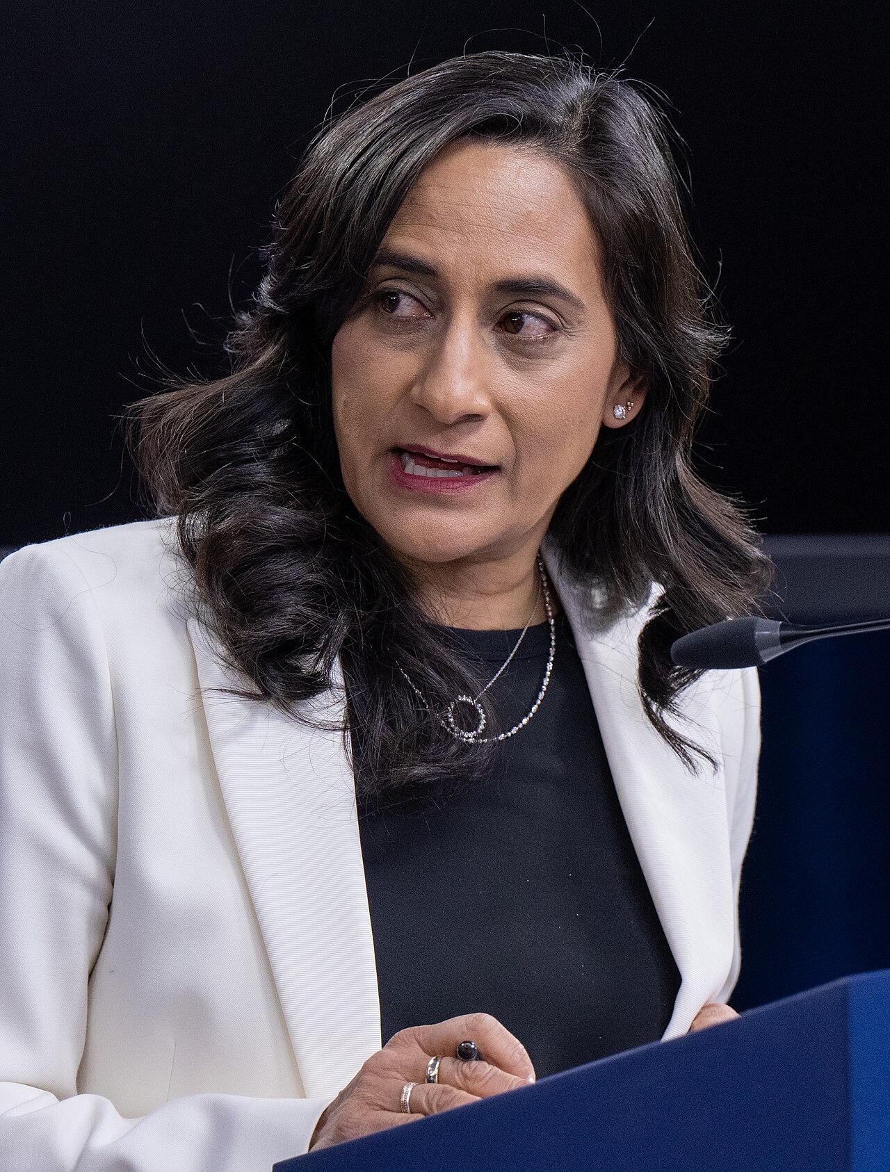 Anita Anand, wearing a dark blazer, speaking at a press conference.