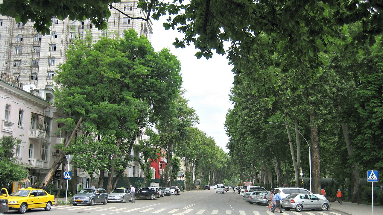 A tree-lined avenue in central Dushanbe with cars parked on both sides, pedestrians on a zebra crossing and a yellow taxi at the left edge of the frame.