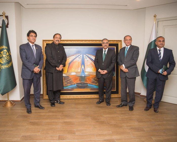 Five men in formal suits and a sherwani stand in a row before a large framed painting in a room, with a green flag on the left and a Pakistan flag on the right.