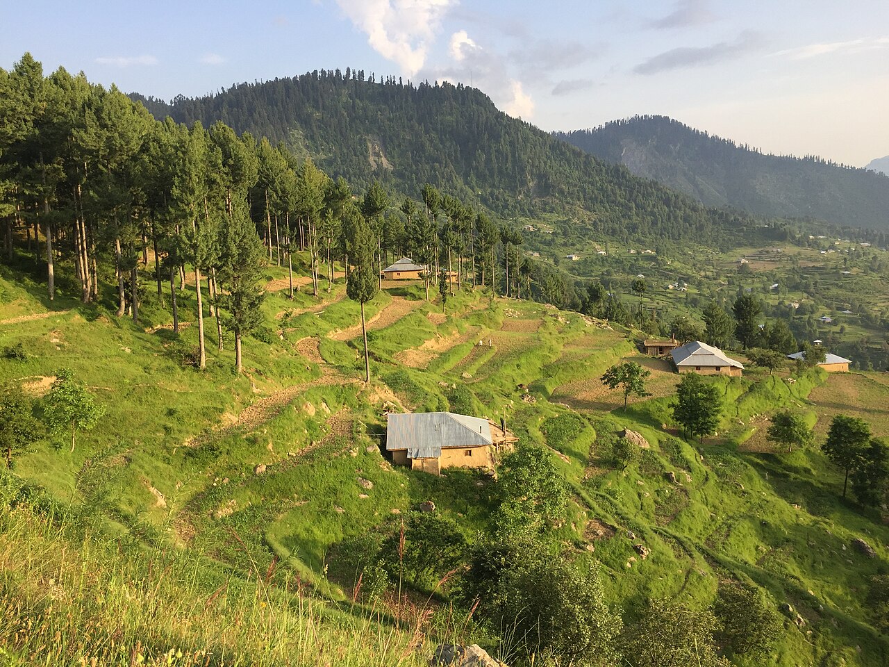 An afternoon view of Jan Baik village in the Allai Valley of Battagram district, showing stone and wood houses on terraced slopes with forested mountains in the background.