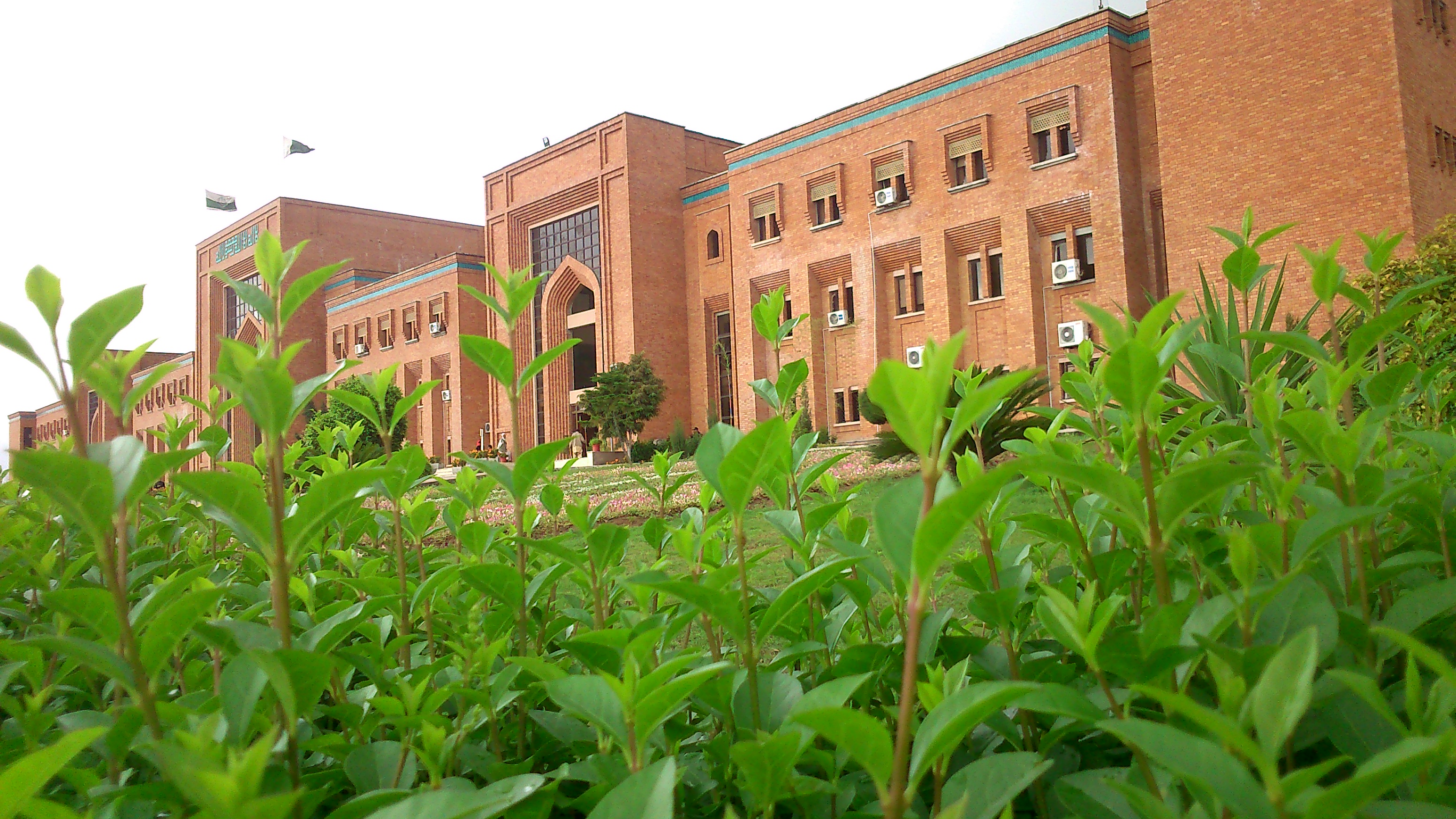 Brick campus buildings with arched windows at the International Islamic University Islamabad, seen behind a bed of green shrubs.