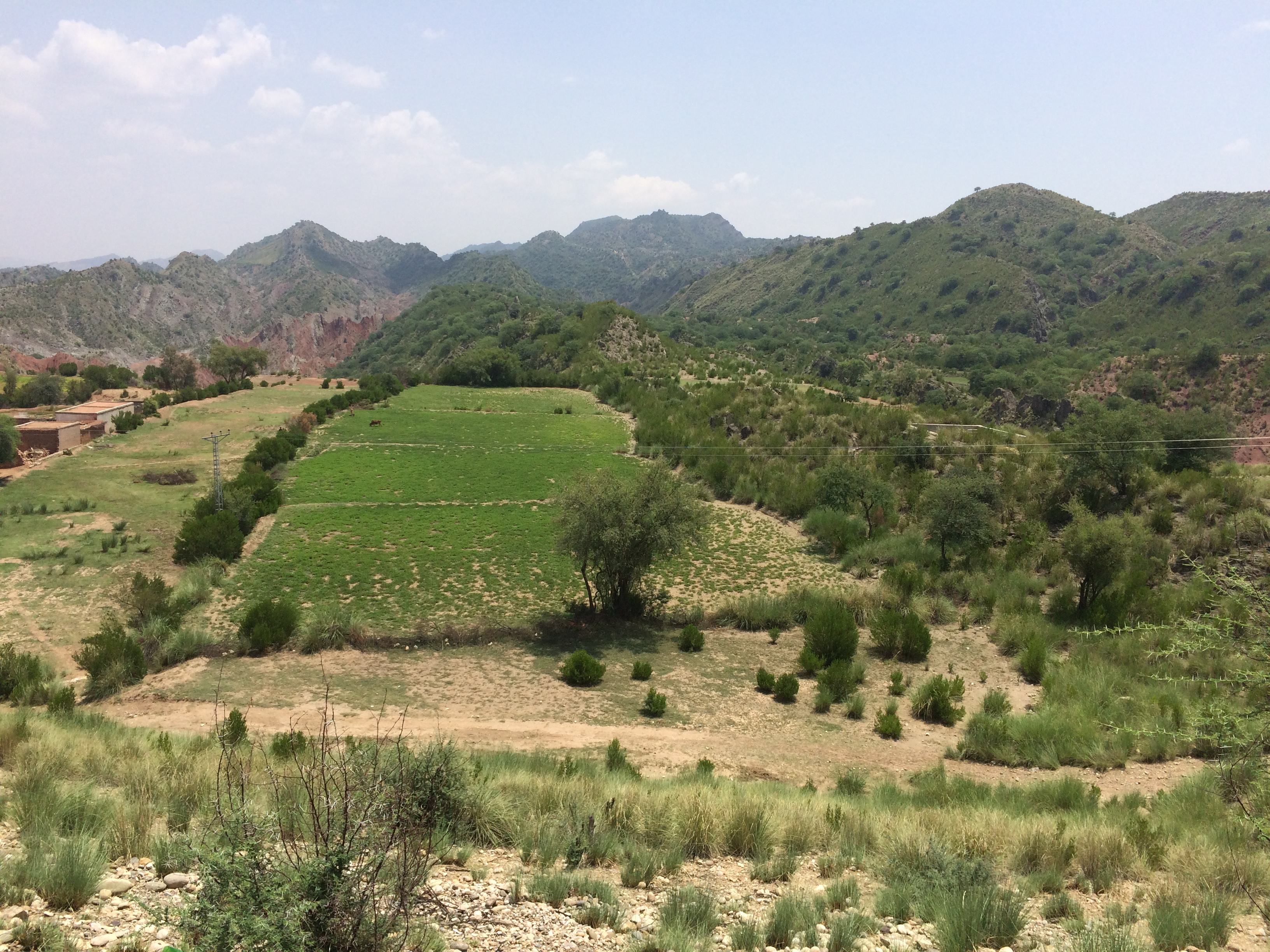 A green valley with cultivated fields, scattered trees and rocky mountains under a pale sky in Karak district, Khyber Pakhtunkhwa