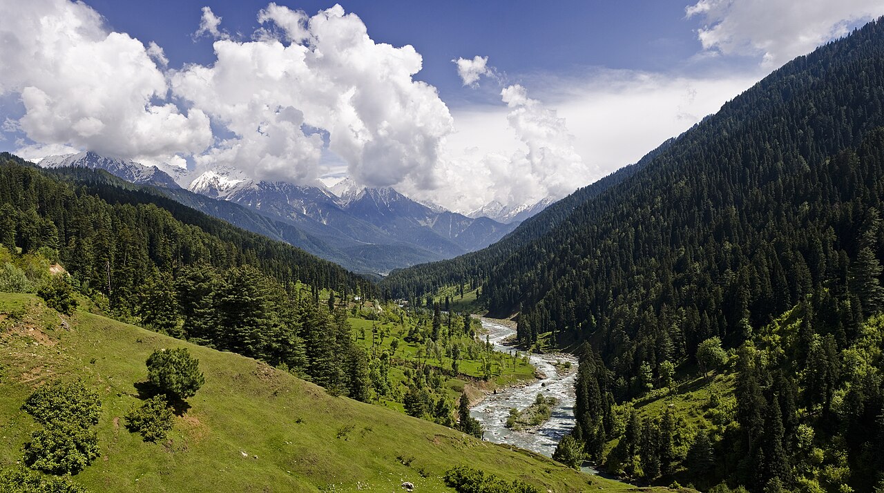 A green Himalayan valley with a river, pine trees and distant snow-capped mountains.