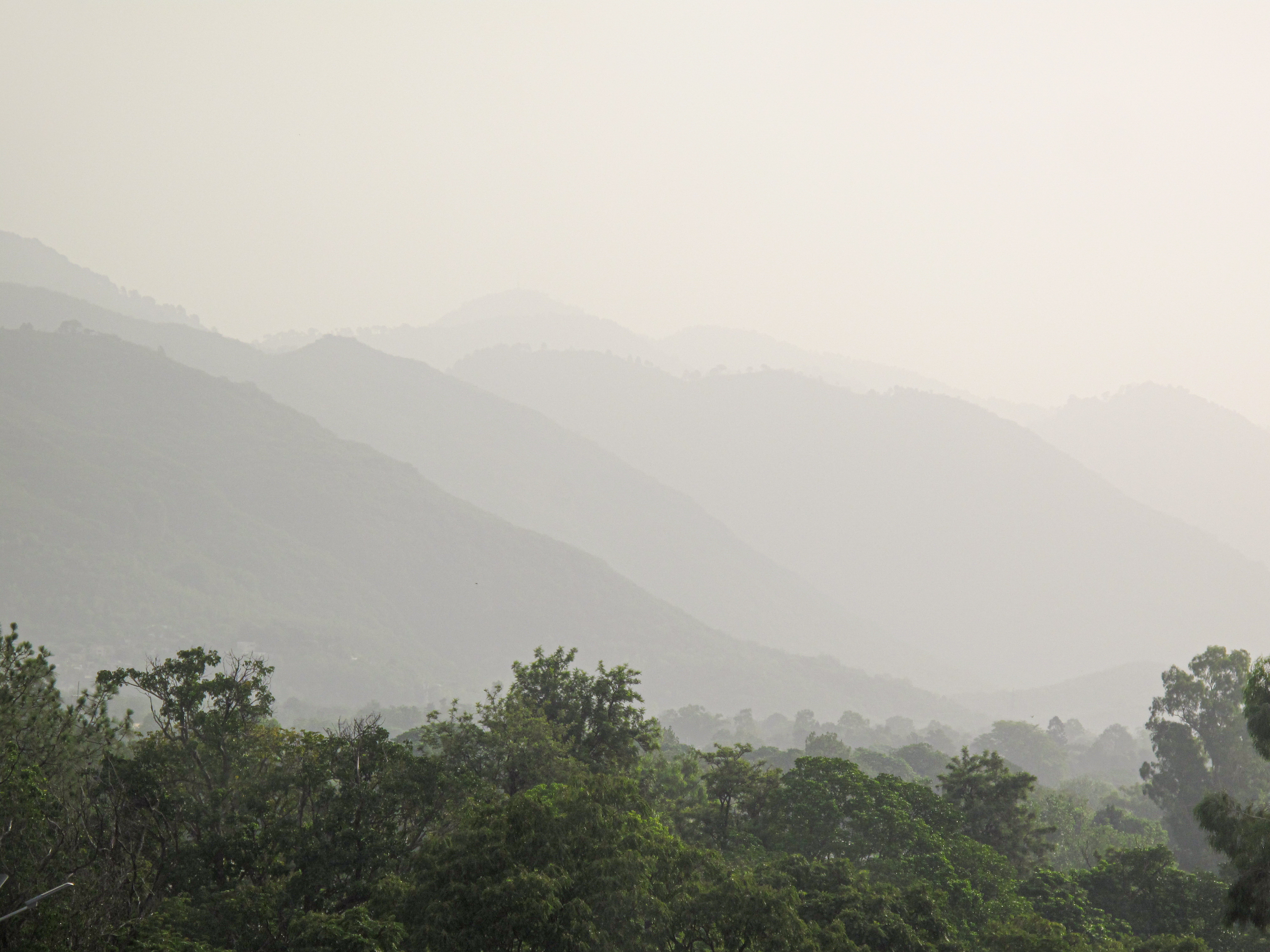 Rain-soaked trees and a misty hillside during monsoon rainfall in Pakistan.