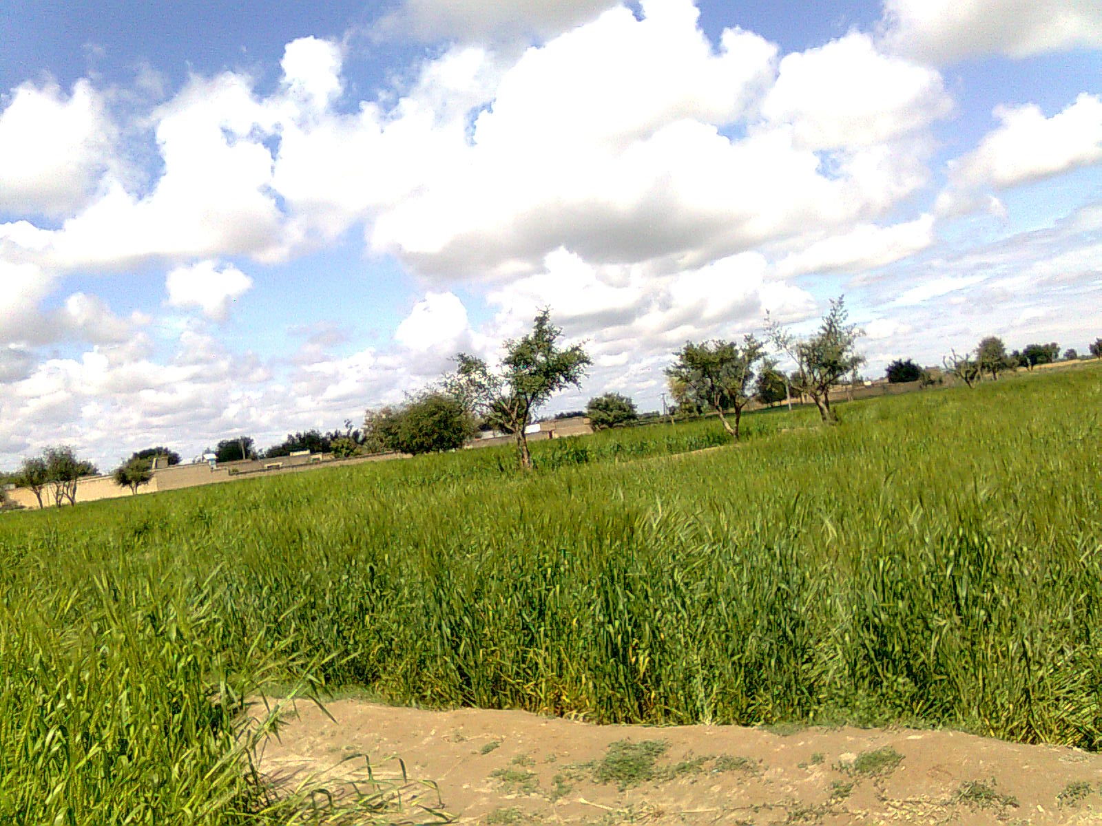 A village in Sherikhel, Lakki Marwat district, Khyber Pakhtunkhwa.