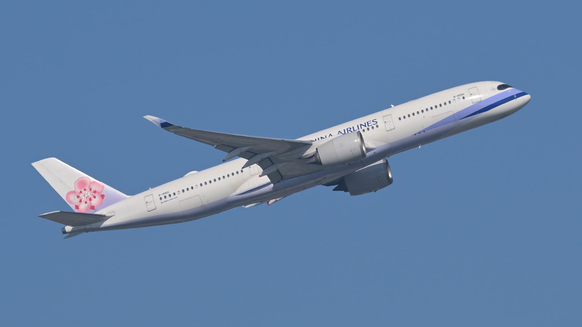A China Airlines Airbus A350-900 in a white livery with a pink plum blossom on the tail, climbing steeply against a clear blue sky.