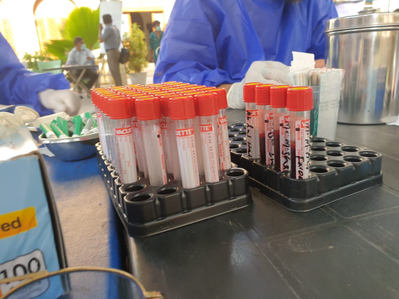 Rows of labelled vaccine sample tubes standing in a rack on a laboratory bench, with gloved hands in blue protective clothing reaching towards the tubes and a capped metal canister beside them.