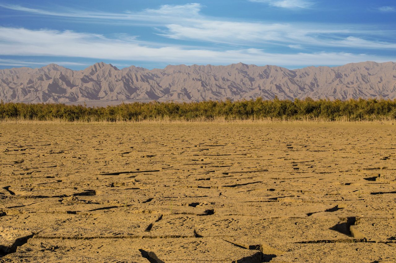 Deep cracks in dried lakebed mud stretch toward a line of scrub and a range of barren mountains under a blue sky.