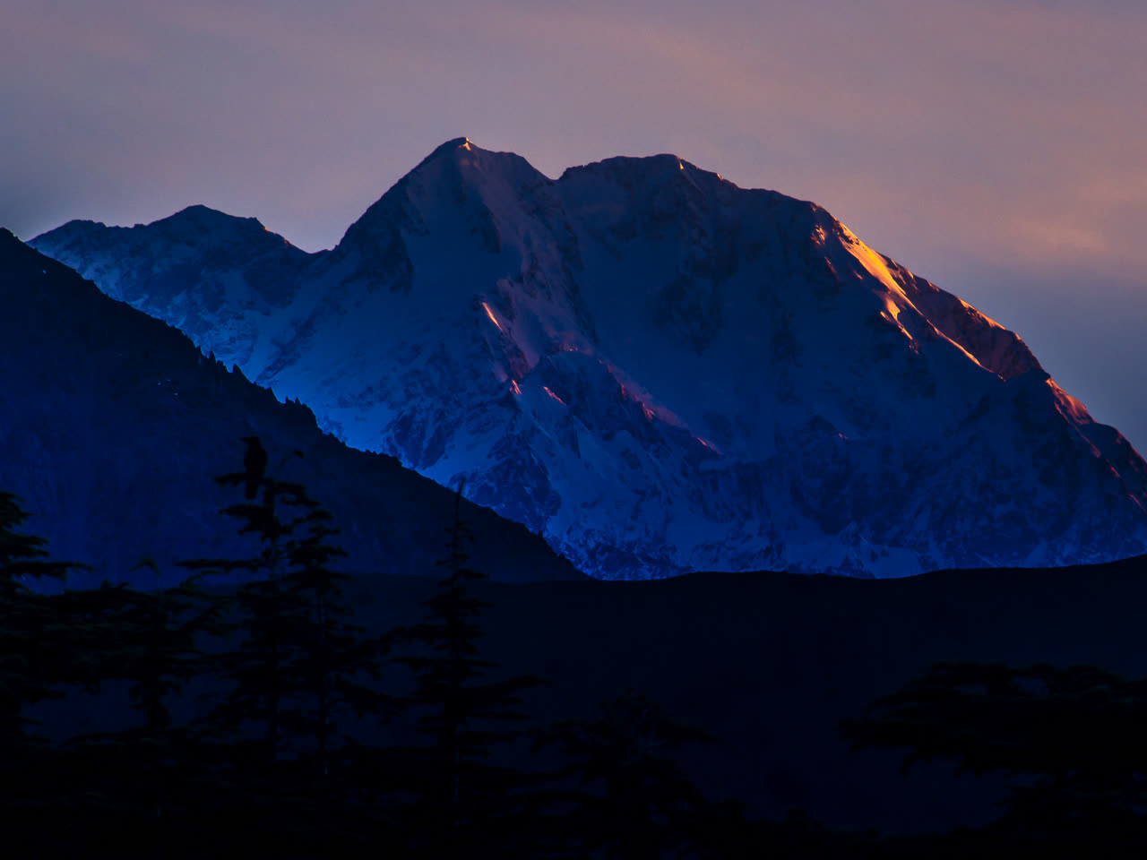 Tirich Mir, the highest peak of the Hindu Kush, photographed at sunset from Chitral
