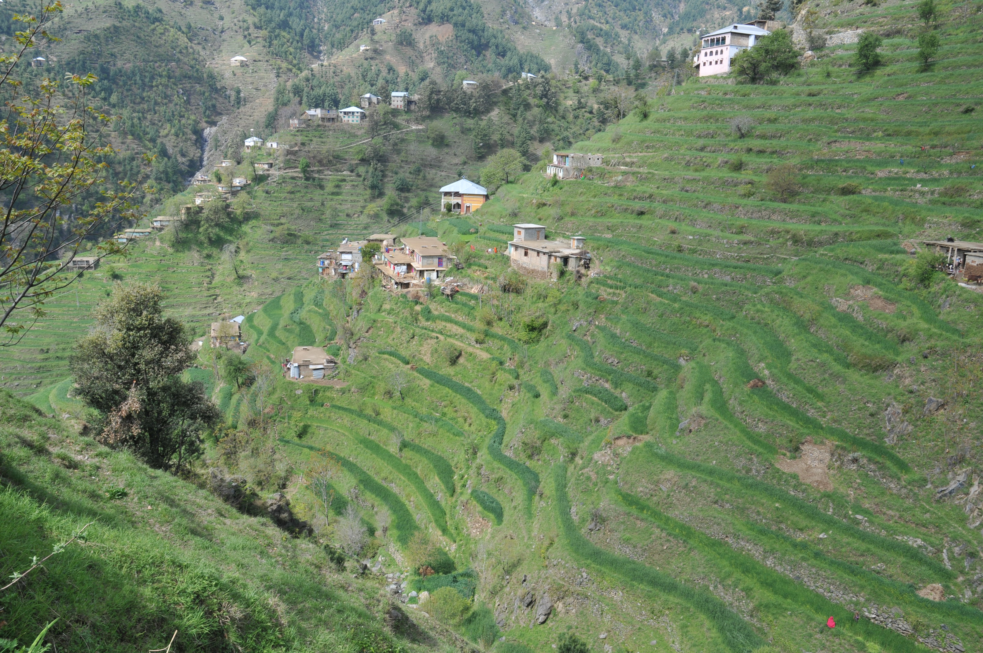 Farmland and hills in the Kabal area of Swat Valley, Khyber Pakhtunkhwa.