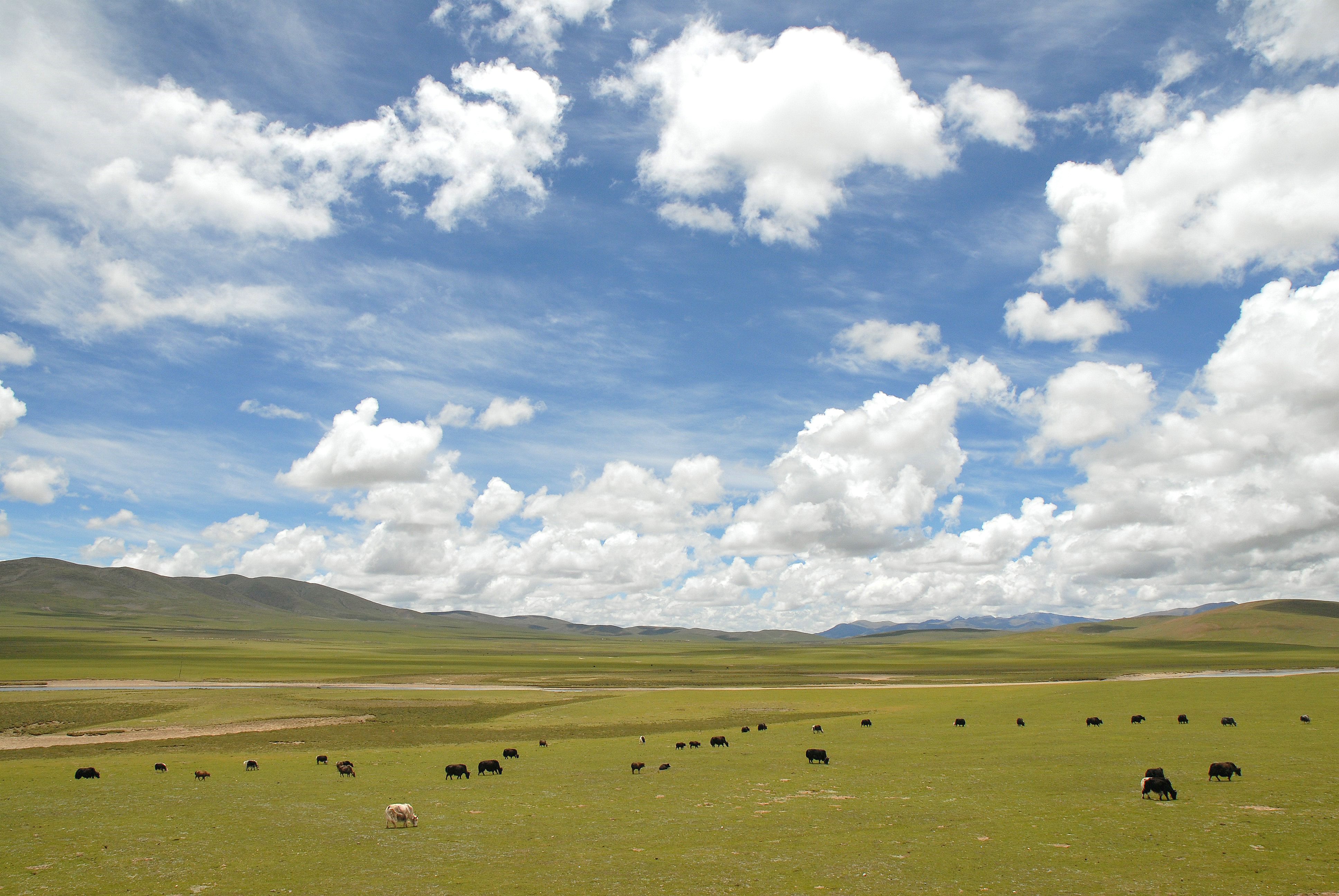 Rolling grassland and bare mountains under a cloudy sky in Nagqu County, Tibet, photographed in 2007